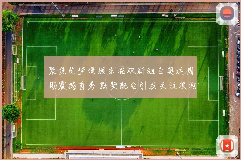 聚焦陈梦樊振东混双新组合奥运周期震撼首秀 默契配合引发关注浪潮